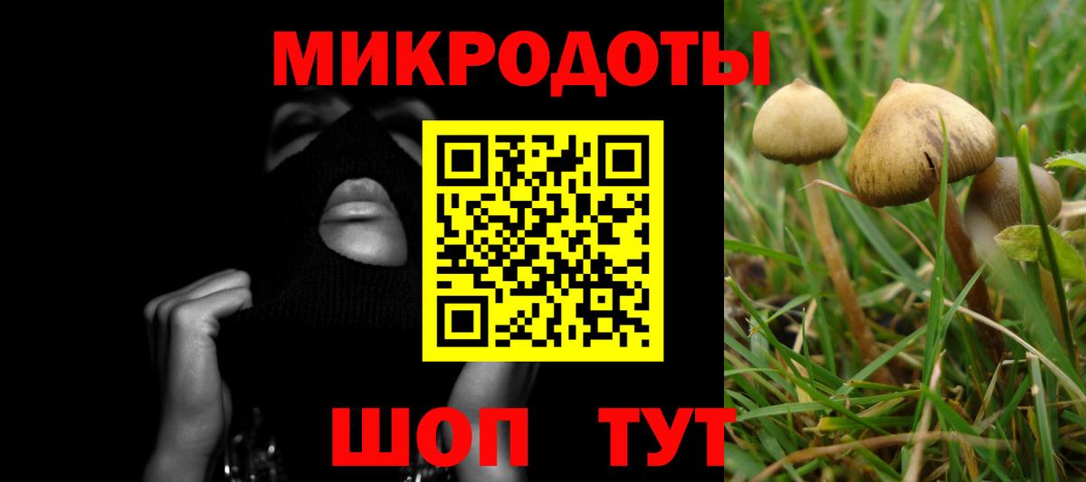 Златоуст  Галлюциногенные грибы MAGIC MUSHROOMS  купить наркотики цена  Вход с VPN 